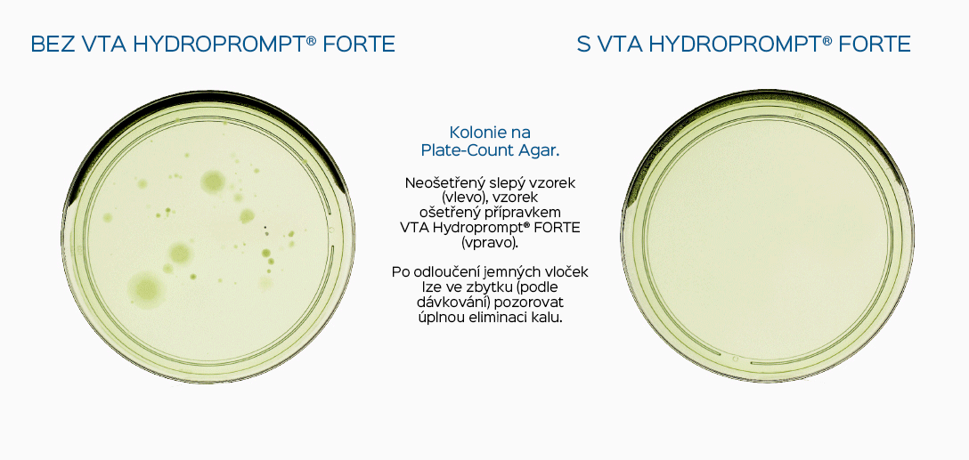 Hydroprompt FORTE - Kolonie na Plate-Count Agar.
