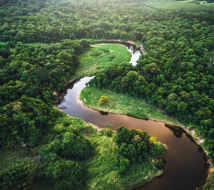 Klimaschutz VTA Biosolit - Fluss im Urwald