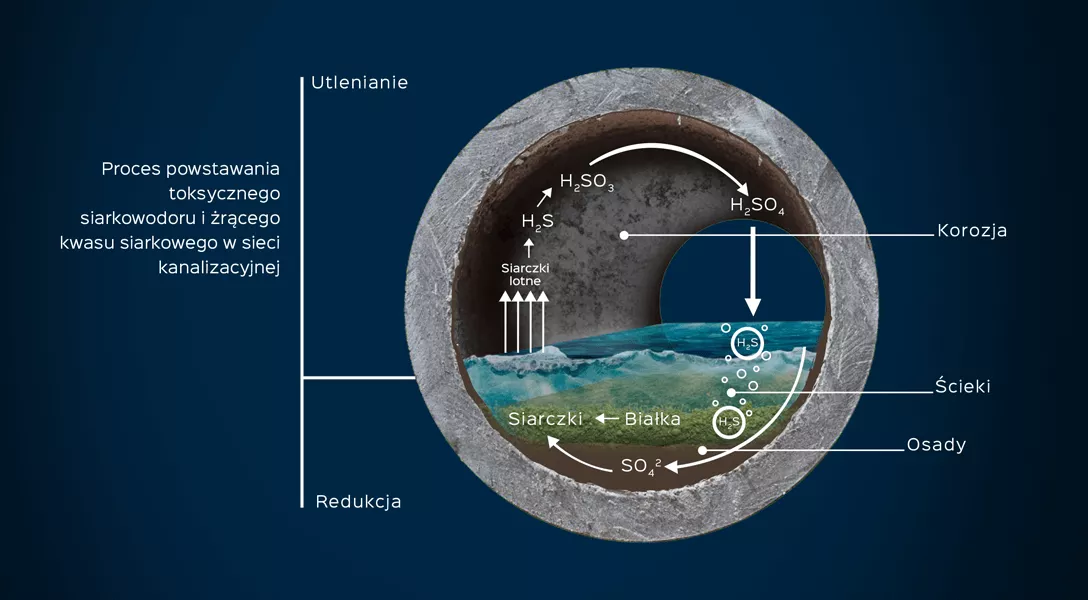 VTA Calcoferrit Graphic Tworzenie toksycznego siarkowodoru