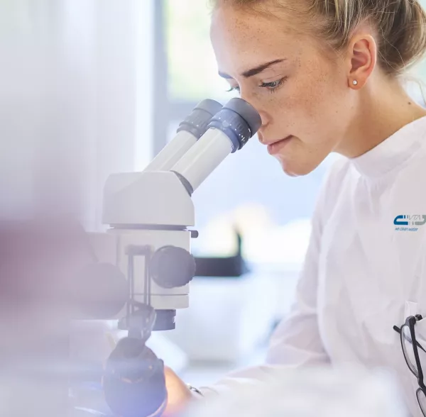 VTA Mikrobiologische Analyse