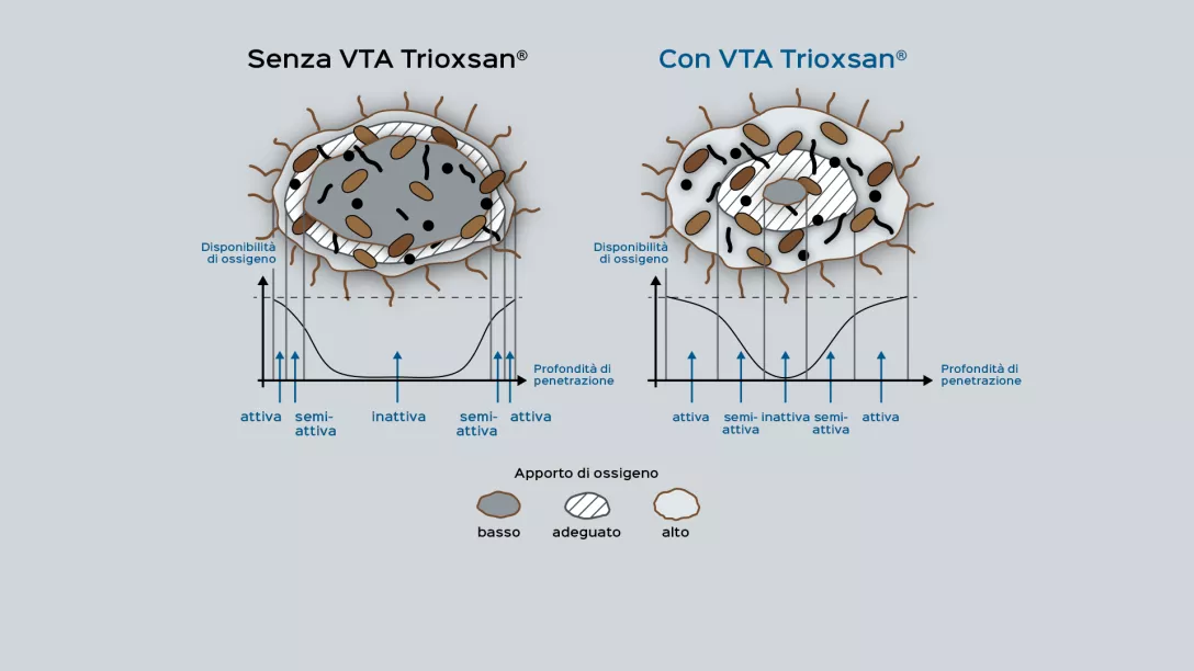 Rappresentazione schematica della distribuzione dell'ossigeno in un fiocco di fanghi attivi.